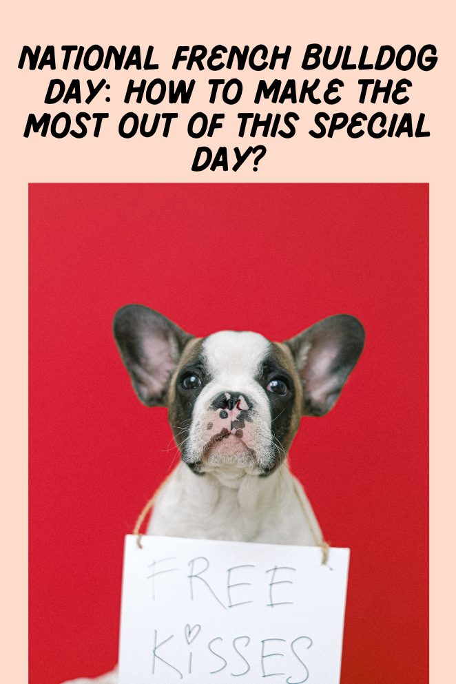 national french bulldog day