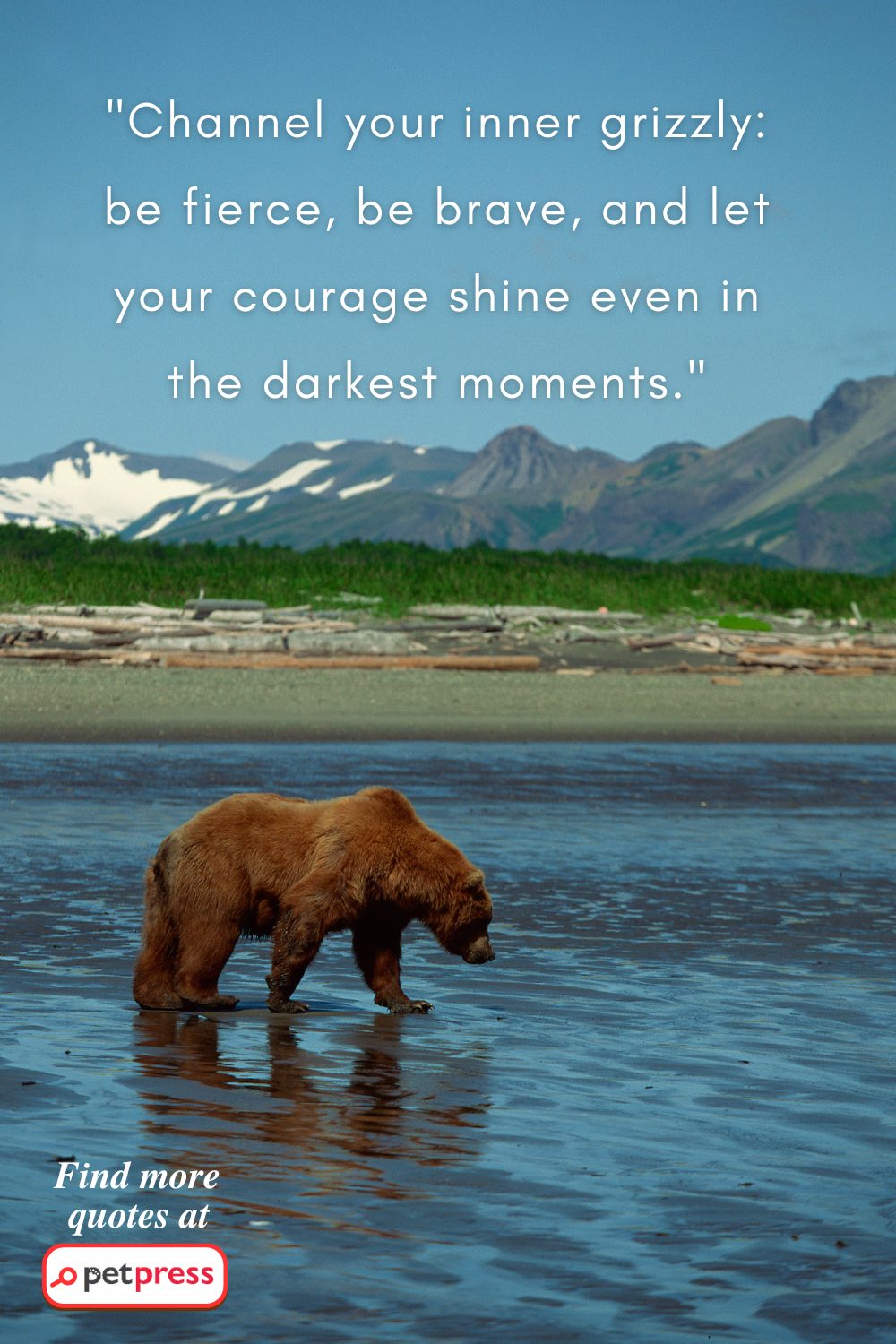 grizzly bear quotes.png