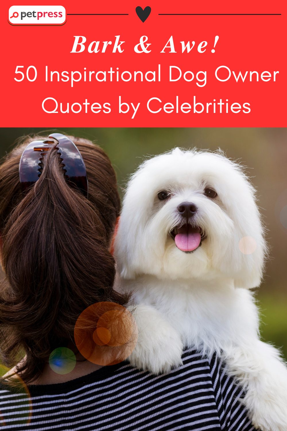 Inspirational Dog Owner Quotes by Celebrities