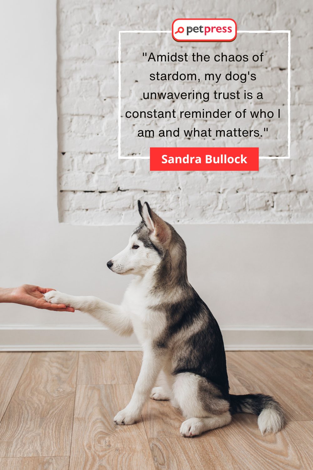 Inspirational Dog Owner Quotes by Celebrities