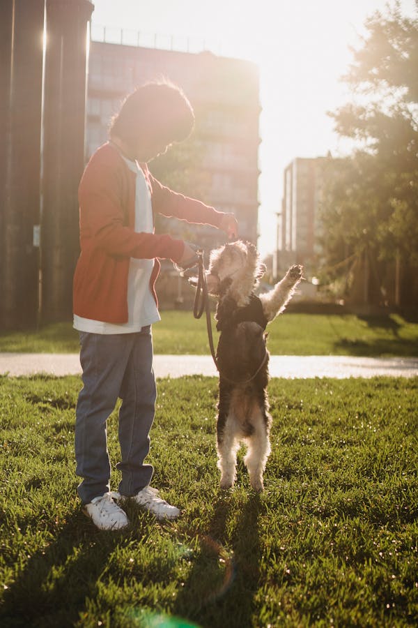 puppy-training-mistakes