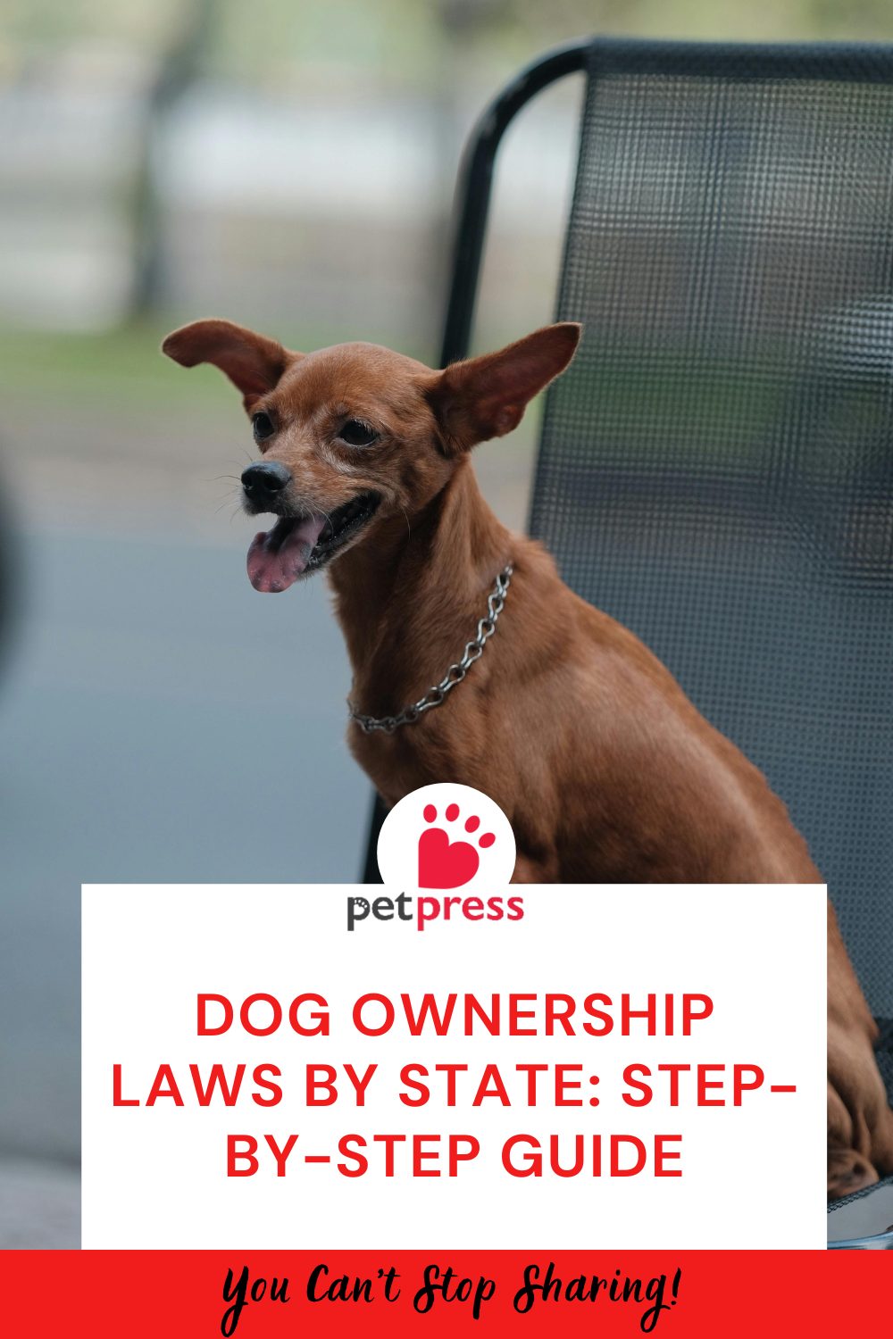 Dog Ownership Laws by State