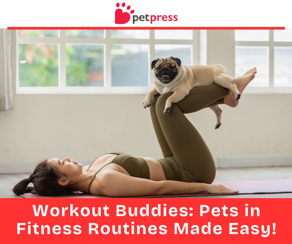 Pets Getting Exercise Workout Buddies: Pets in Fitness Routines Made Easy! - PetPress