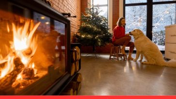 Safe Heating With Pets Tips & Tricks!