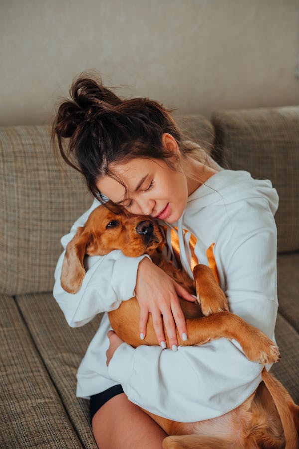 dog-care