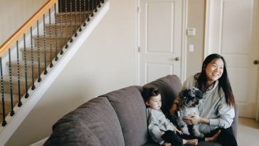 how-to-care-for-pregnant-dog