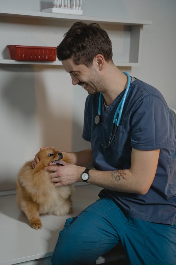 take-care-of-deaf-dog