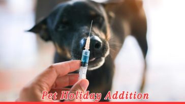 World Rabies Day