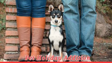 Adopted Dog Day