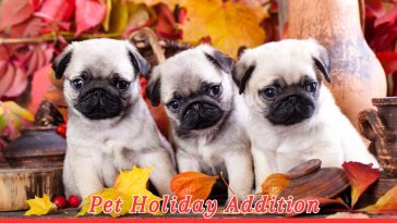 National Pug Day