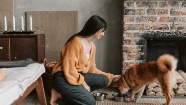 dog-vegan