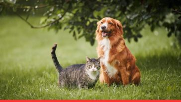 5 Surprising Loyalty Signs
