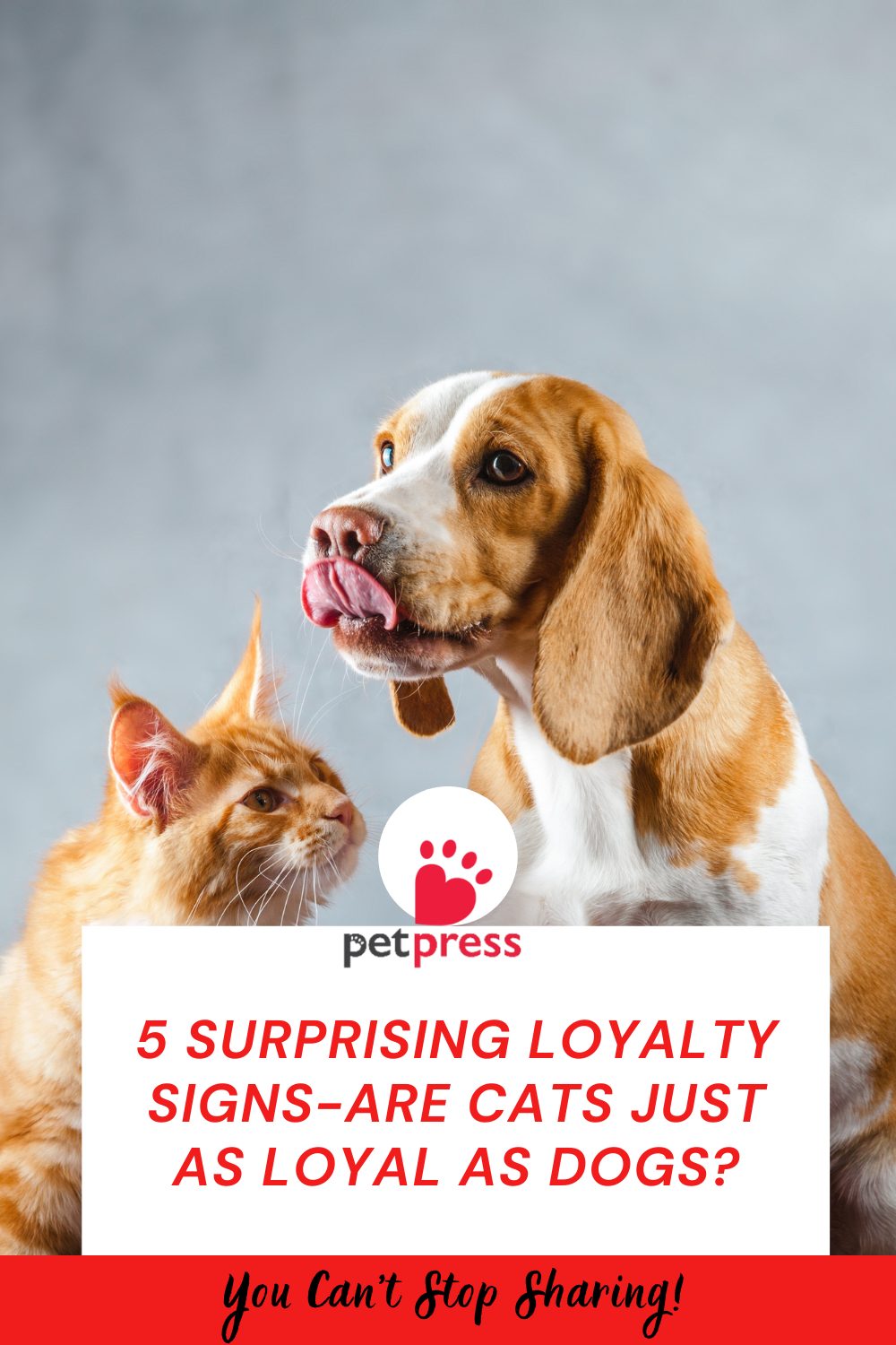 5 Surprising Loyalty Signs
