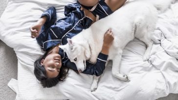 dog-sleep-in-bed-with-you