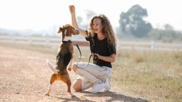 dog-training