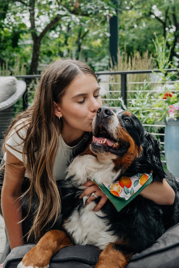 healthy-dog