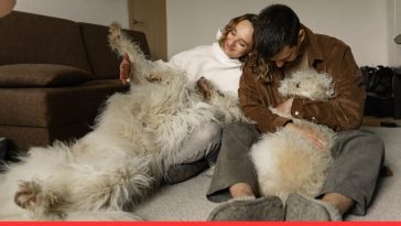 Independent Dog Breeds