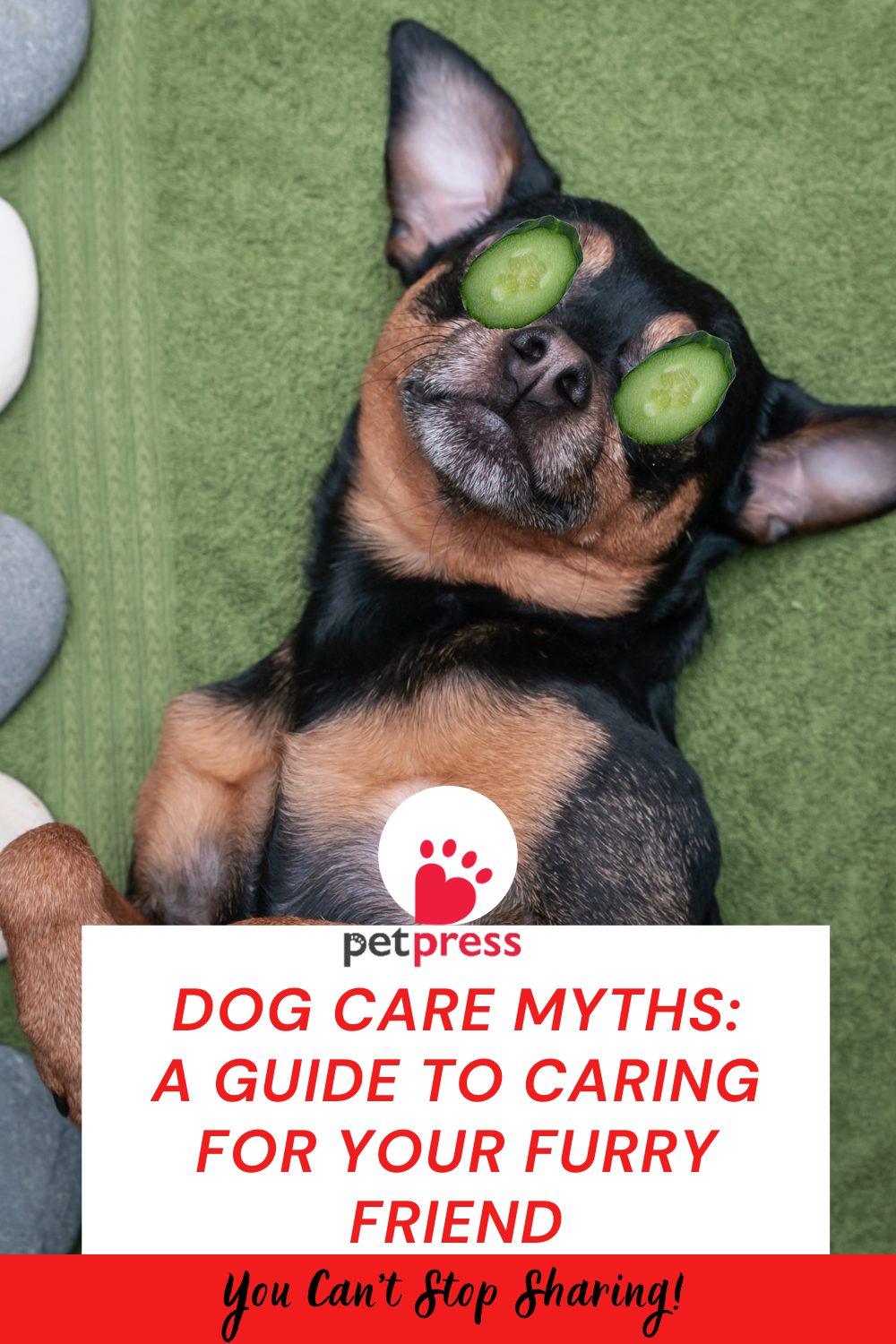 Dog Care Myths
