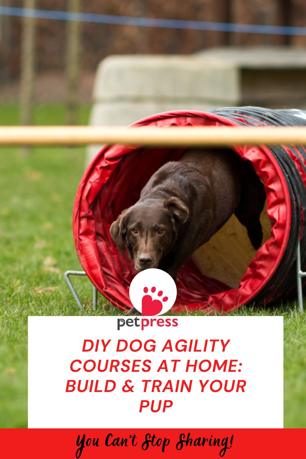 DIY Dog Agility Courses at Home