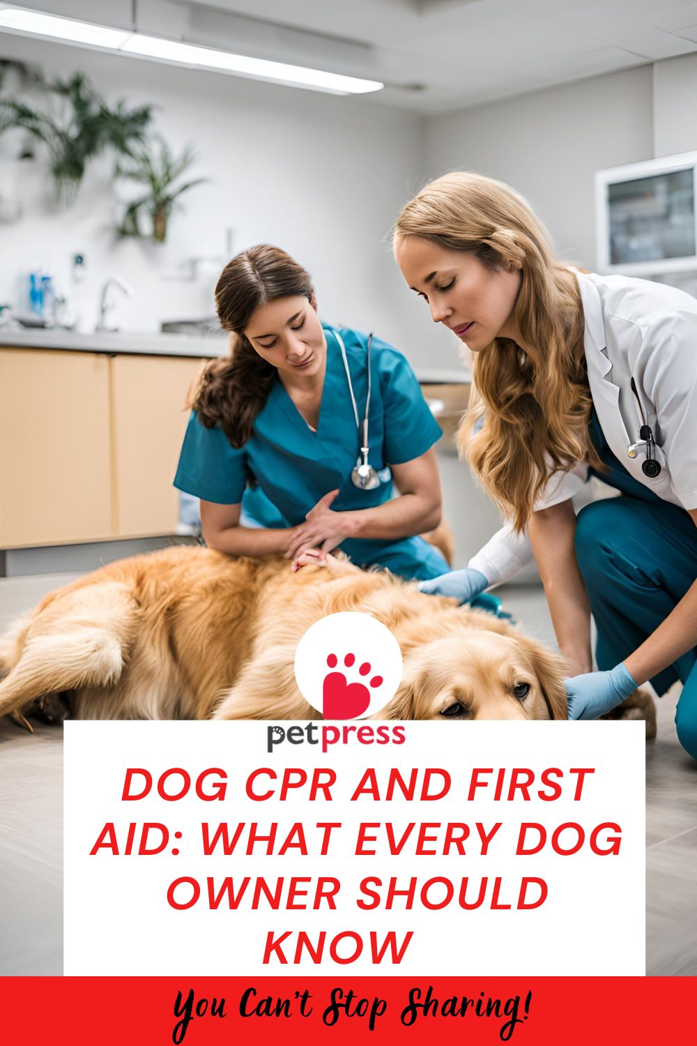 Dog CPR and First Aid