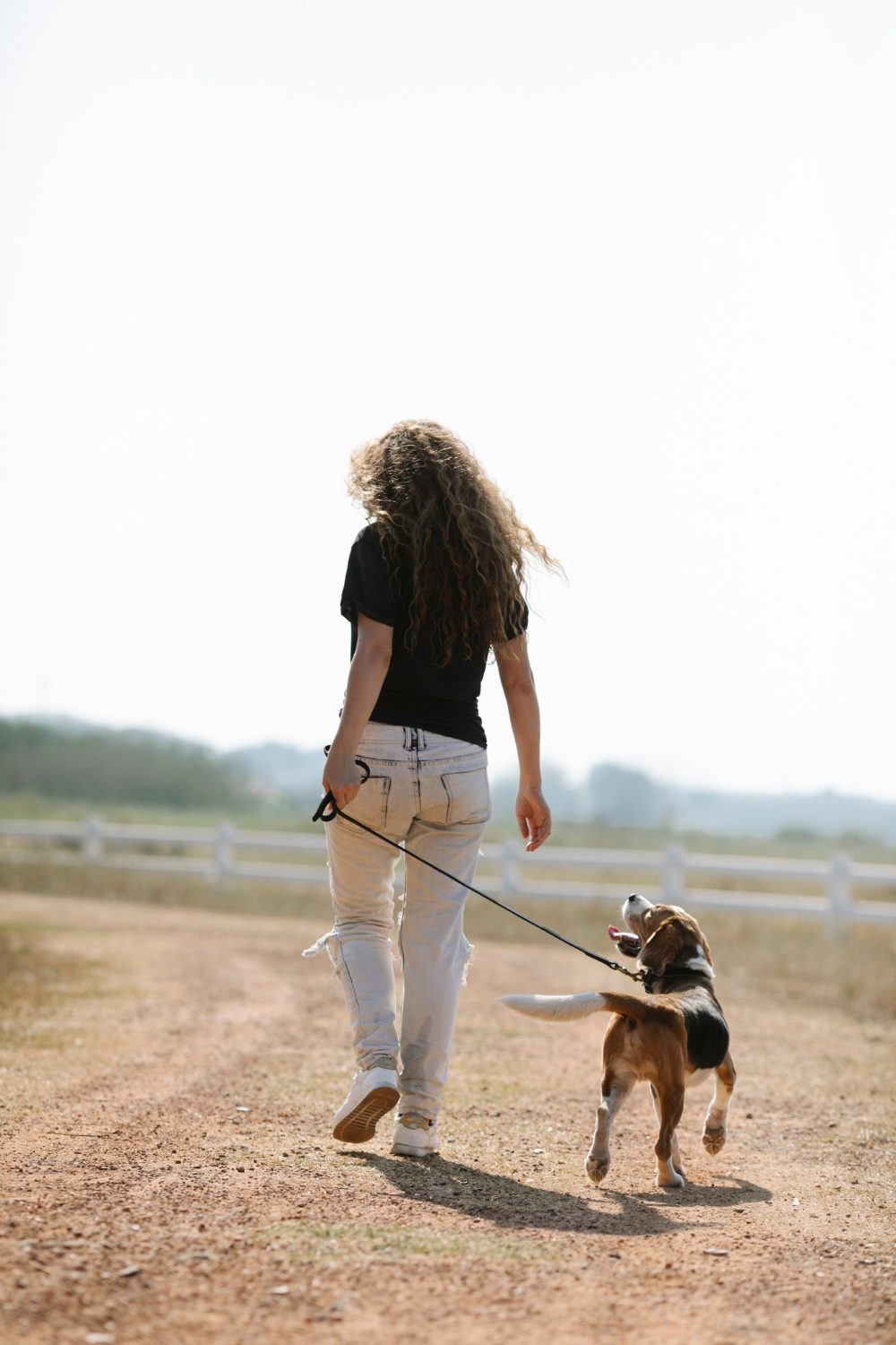 Time-Saving Tips for Busy Dog Owners