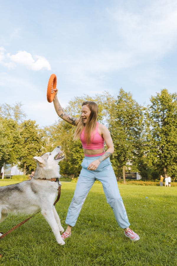 dog-fetch