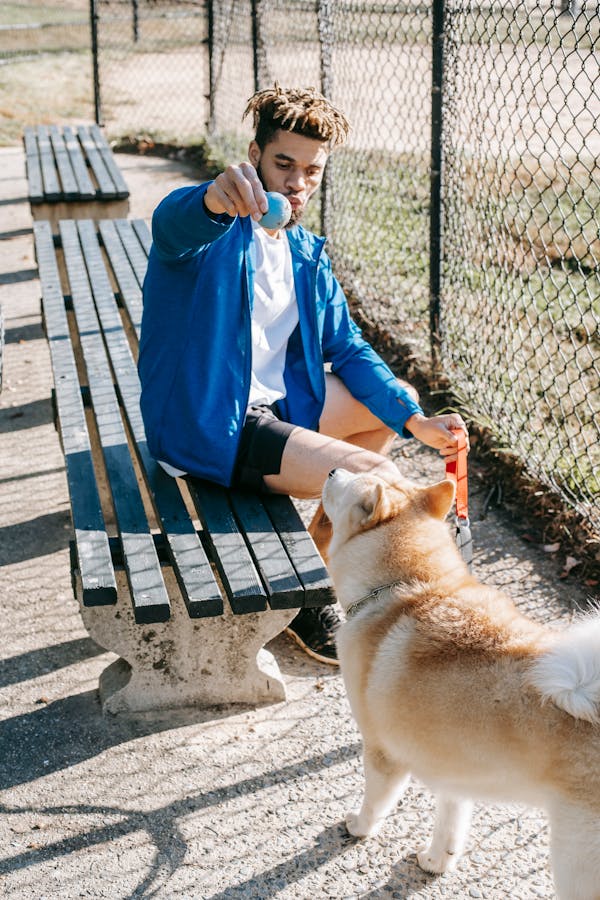 playing-fetch-with-dog