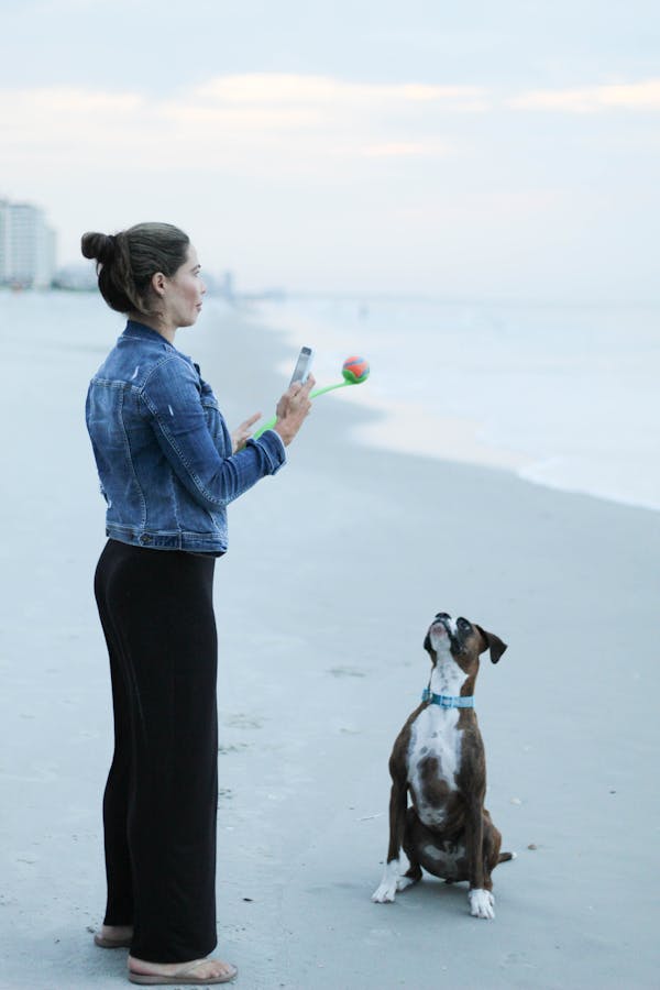 teach-dog-to-fetch