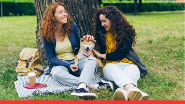 Dog Socialization Tips