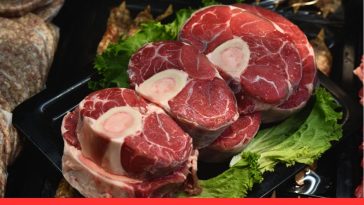 Raw Diet for Dogs
