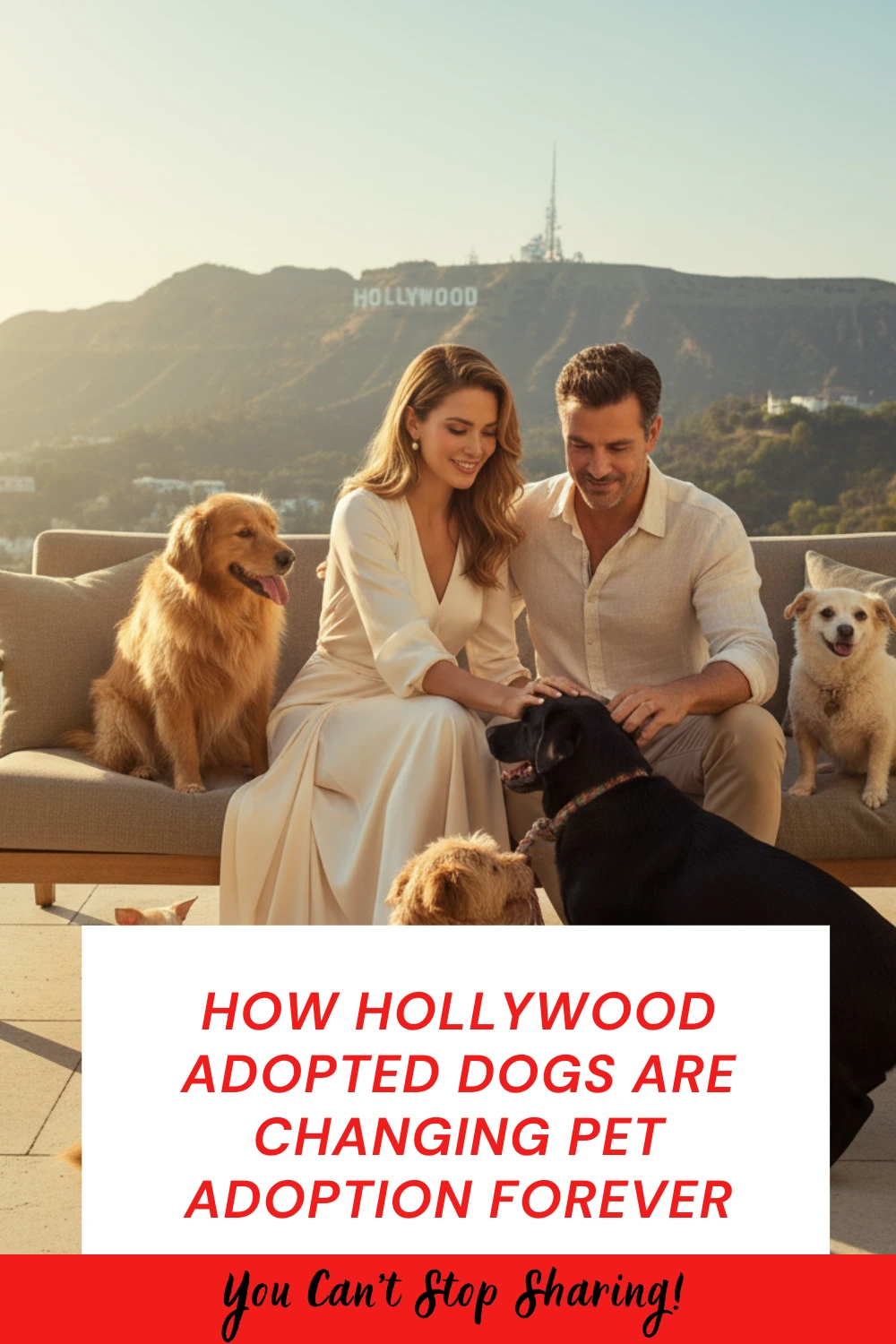 Hollywood Adopted Dogs