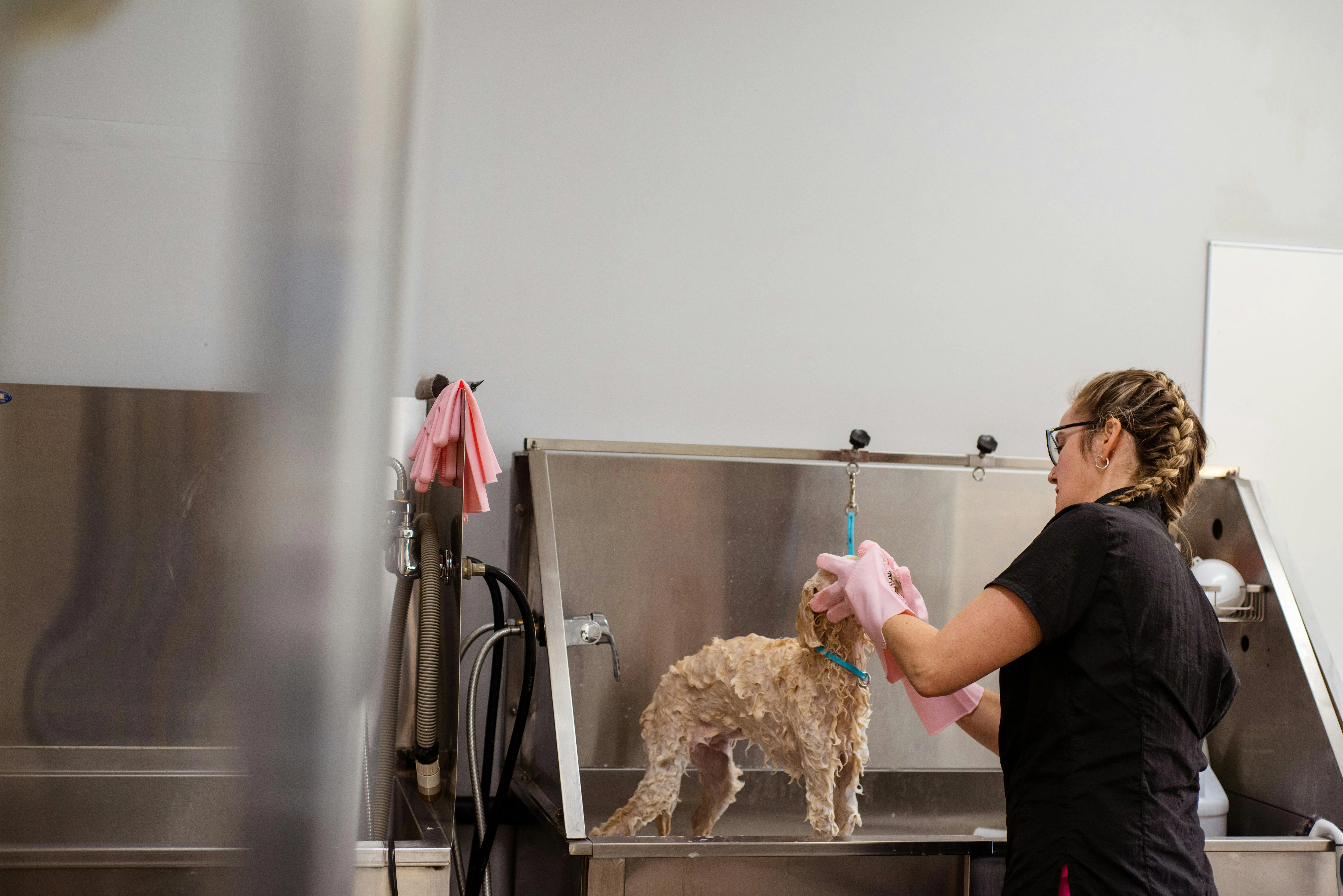 Shampoo for Sensitive Skin Dog Grooming