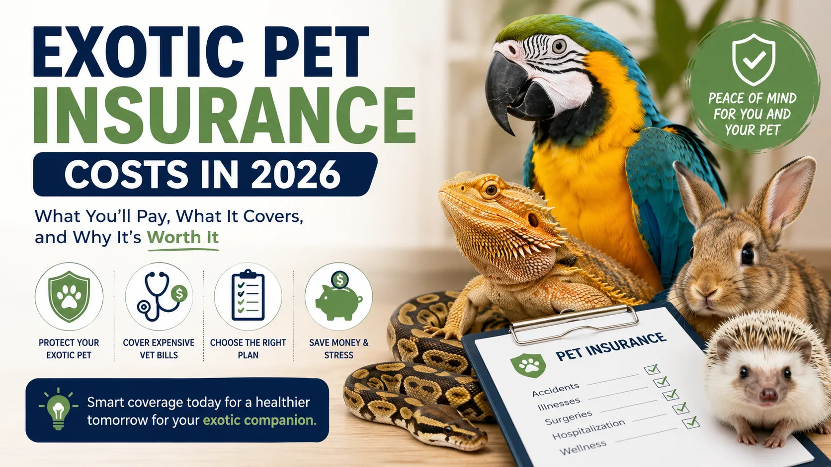 Exotic Pet Insurance