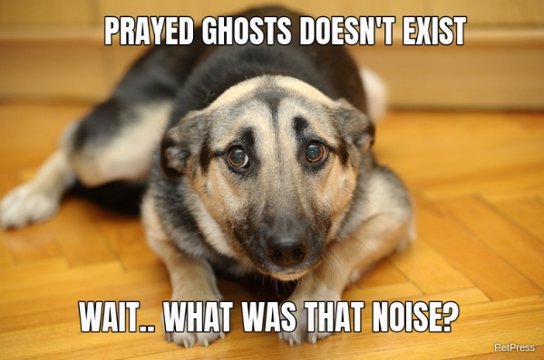 scared dog of ghosts meme